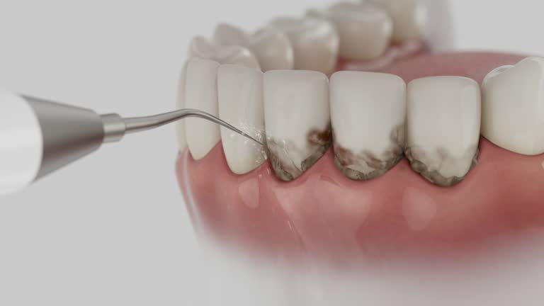 Reliable Dental contractor in Pequot Lakes, MN by Dentist Open Now